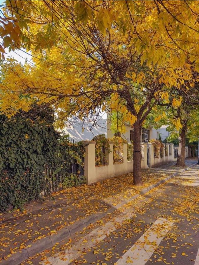 Apartamento Charming Place Cotroceni