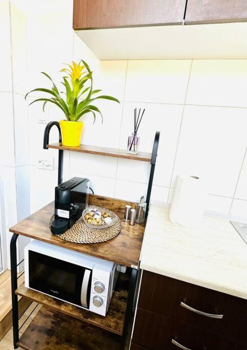 Apartament Cozy 1br Apartment•central•quiet Bucureşti