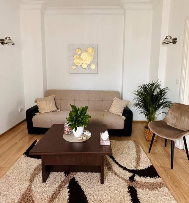 Apartament Cozy 1br Apartment•central•quiet
