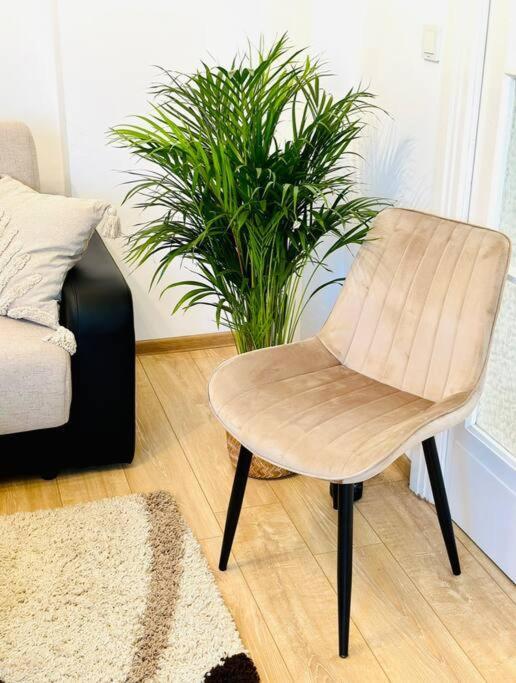 Cozy 1br Apartment•central•quiet *