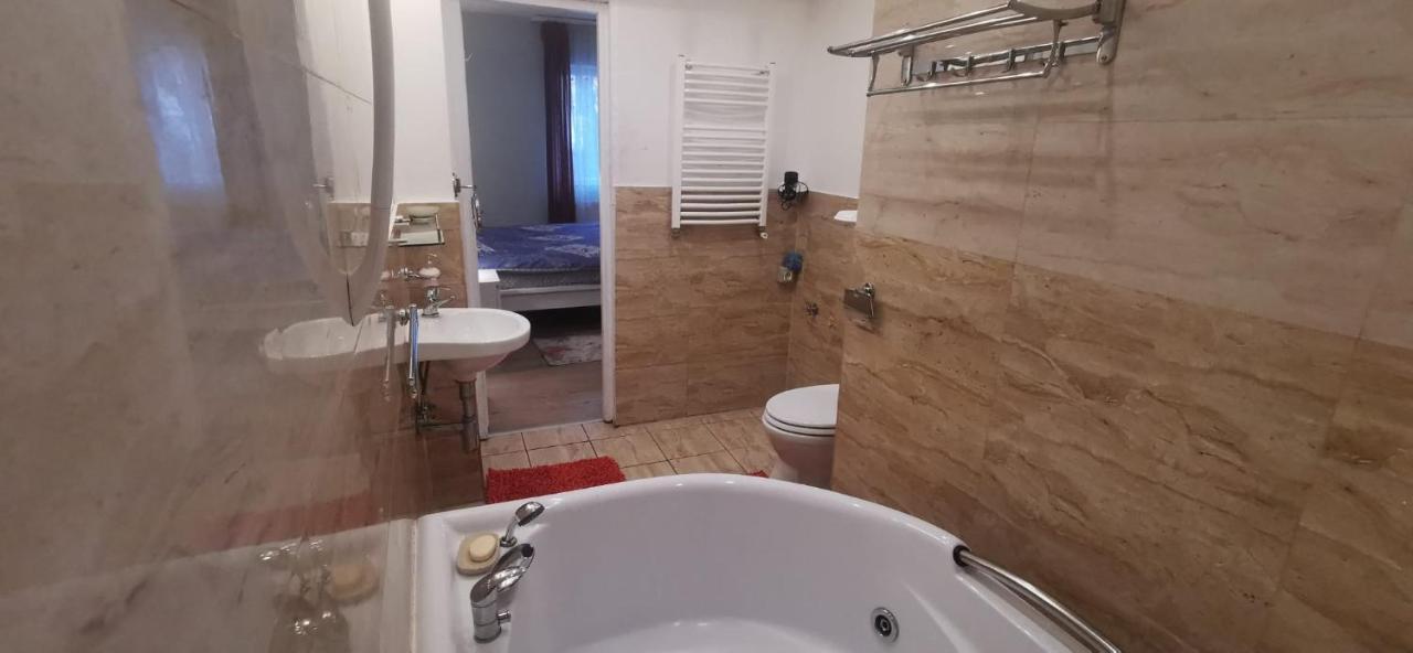 Andreea's Apartments-old Town