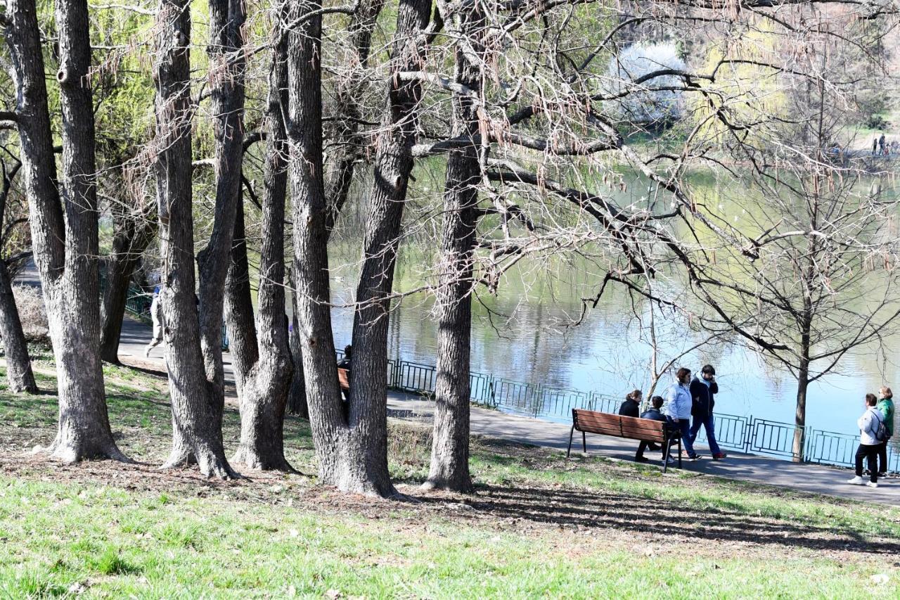 Modern Semi-central 1 Bedroom Apartment, 3 Parks Nearby Apartment Bucharest