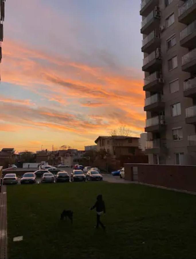 Apartment Rose Garden Colentina