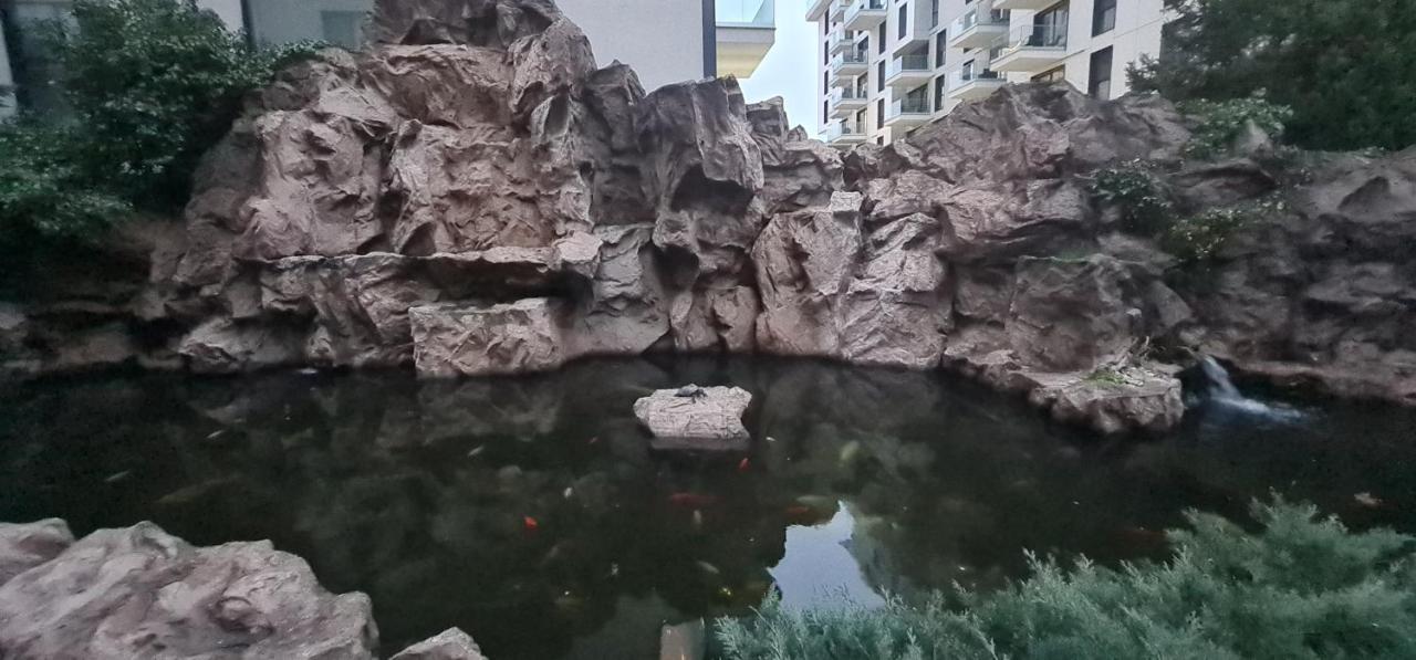 Garden Oasis * Bucareste
