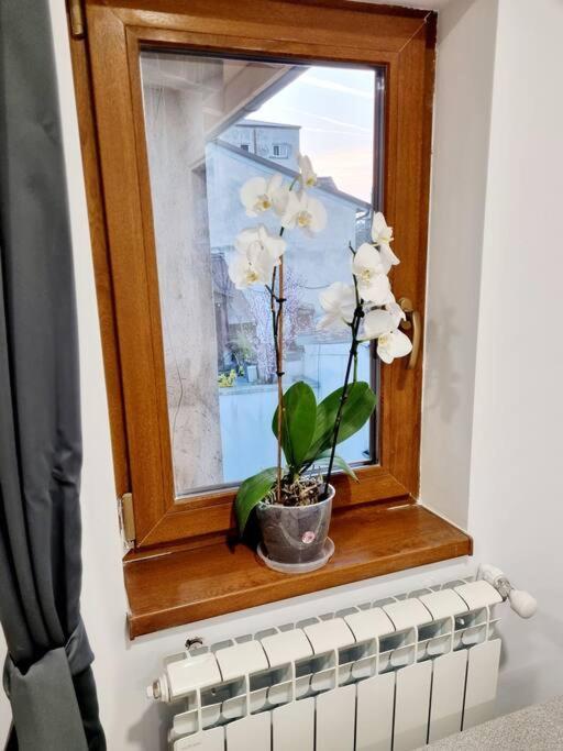 Apartament Cozy Near Center