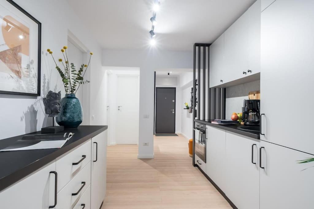 Apartment Spectacular - 4br-terrace - Piata Romana