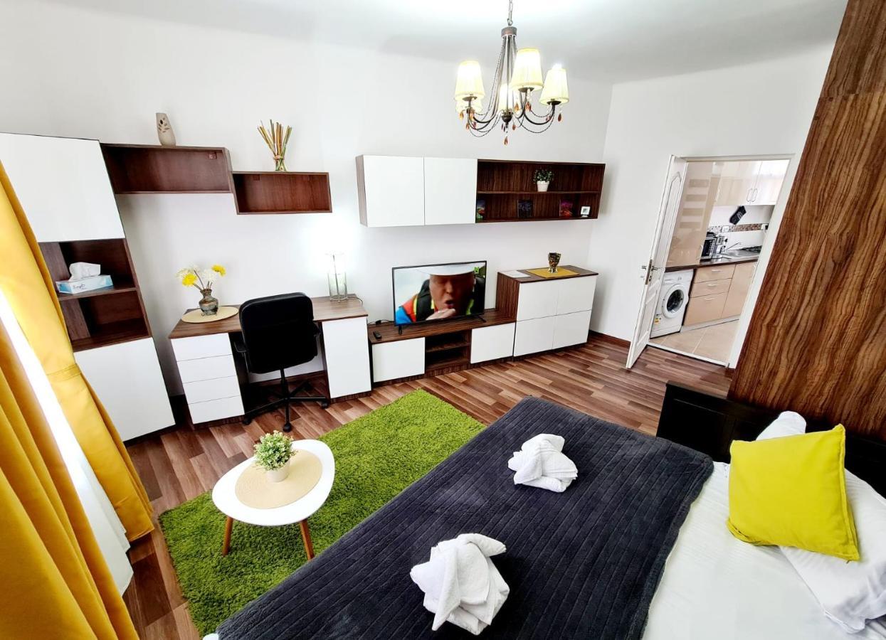 Central Old City Center Studio Universitate Coltea - Cav9