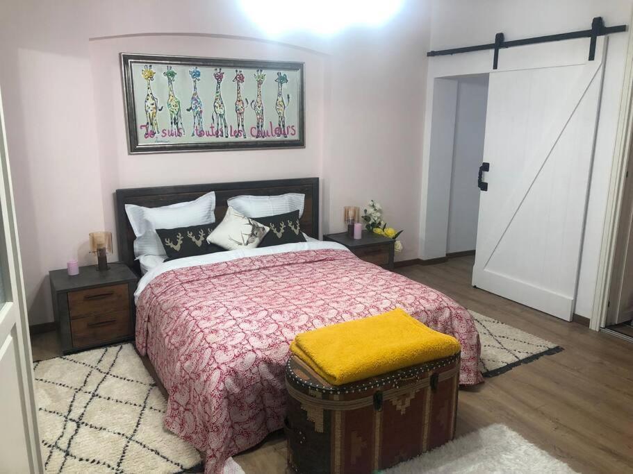 Dumbrava Rosie - Ultracentral Historical Apartment