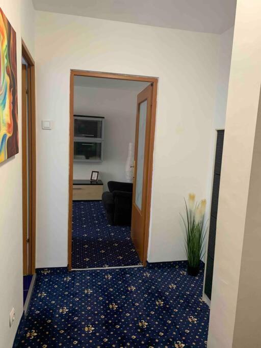 Cozy & Warm Apartamento