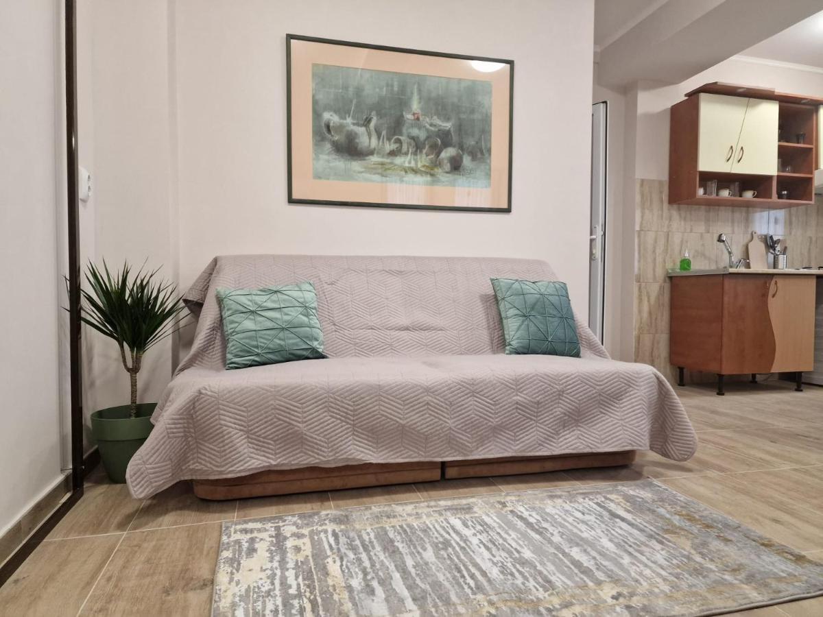 Apartment Laroka House Beautiful Universitate Center *
