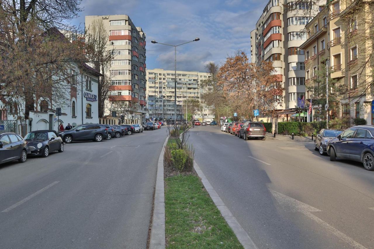 Oak - Piata Victoriei Apartment *