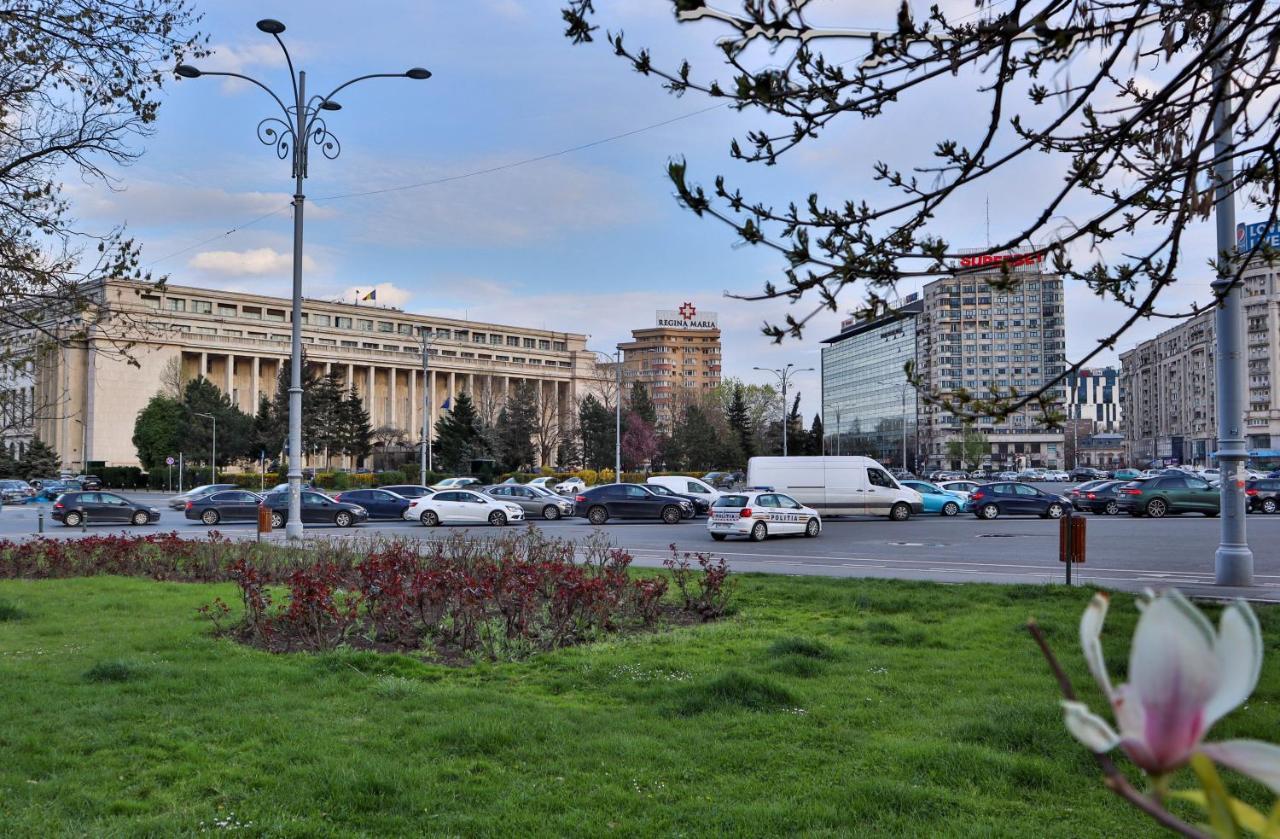 Apartment Oak - Piata Victoriei *