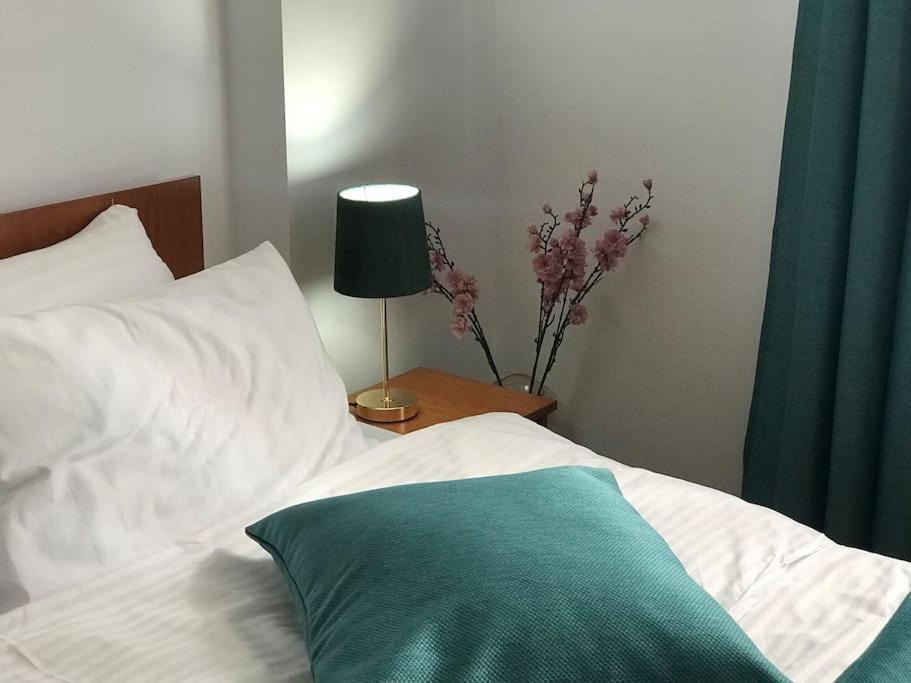 Fully Furnished Spacious 2bedroom Apartment
