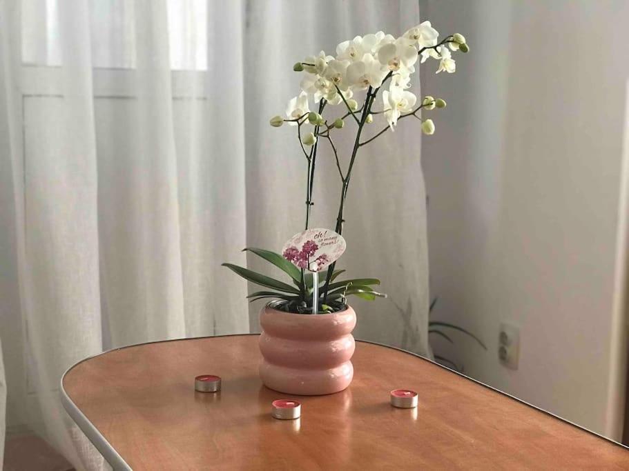 Fully Furnished Spacious 2bedroom Apartamento Bucareste