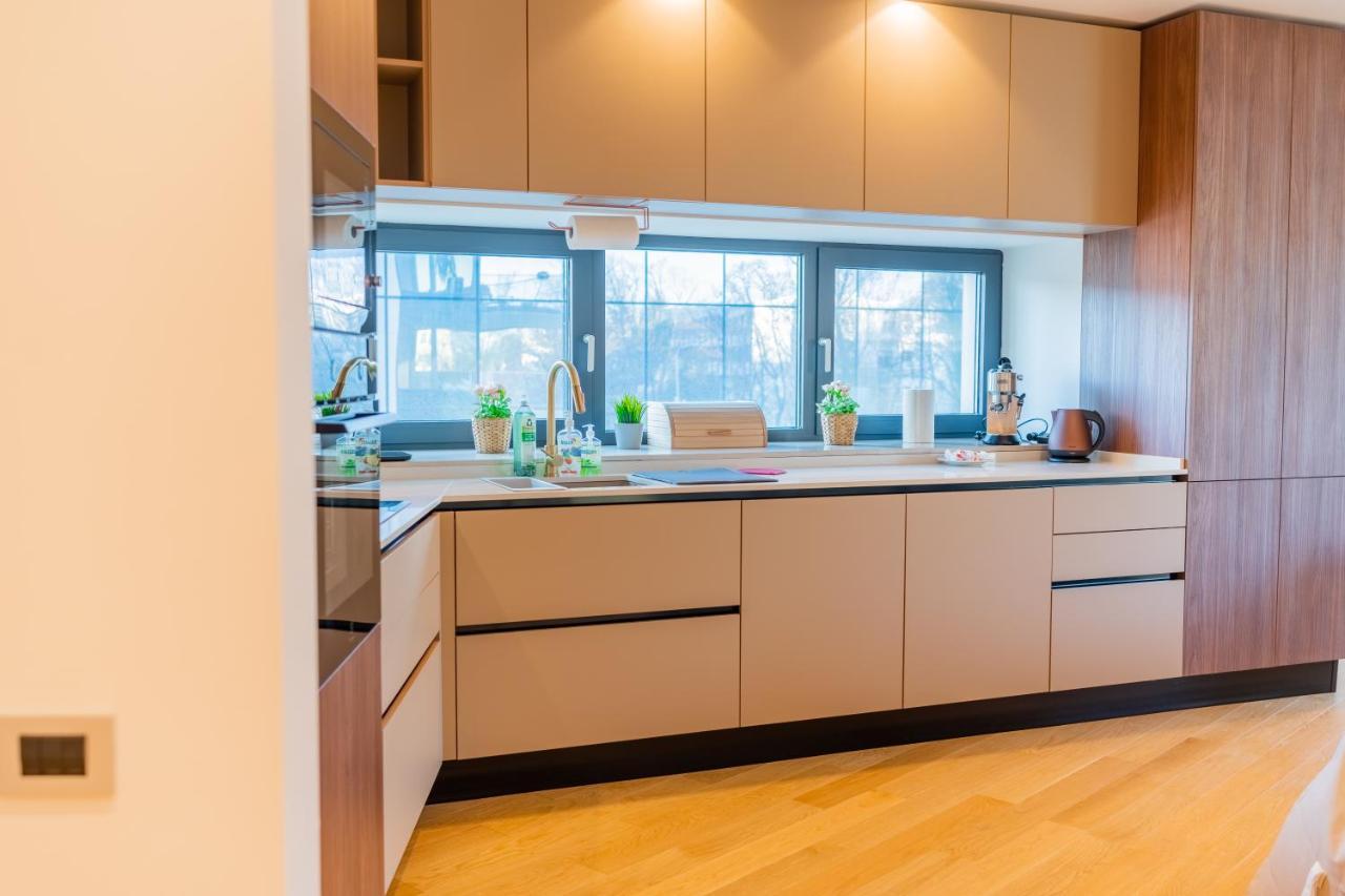 Designer In Aviatiei Tower Apartament