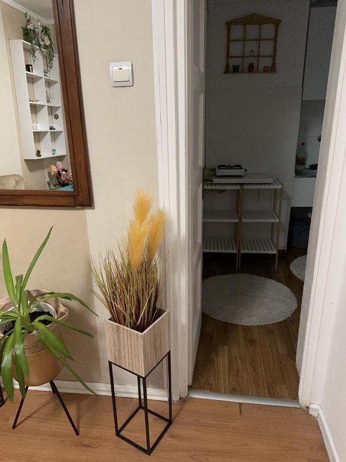 Ultracentral Studio Cherry Piata Amzei Apartamento