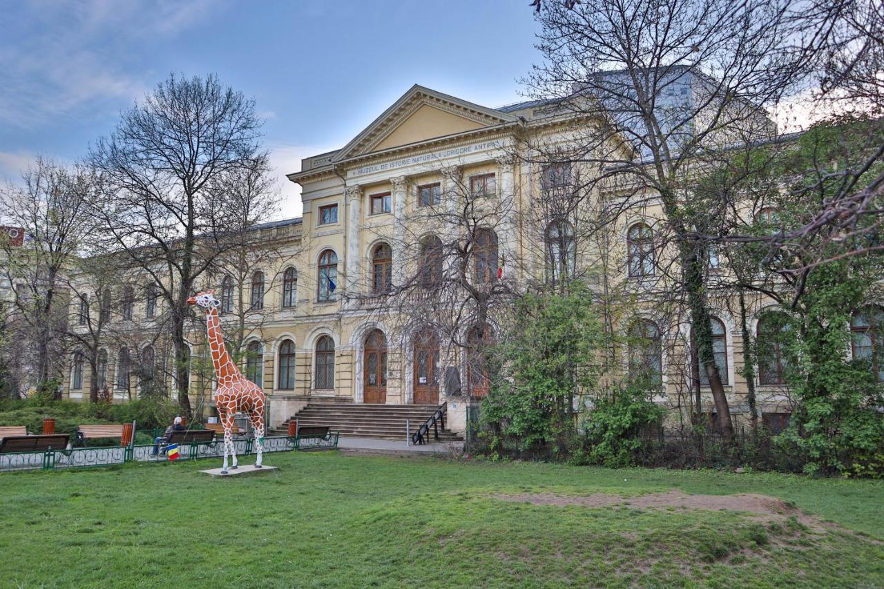 Oak - Piata Victoriei Apartment
