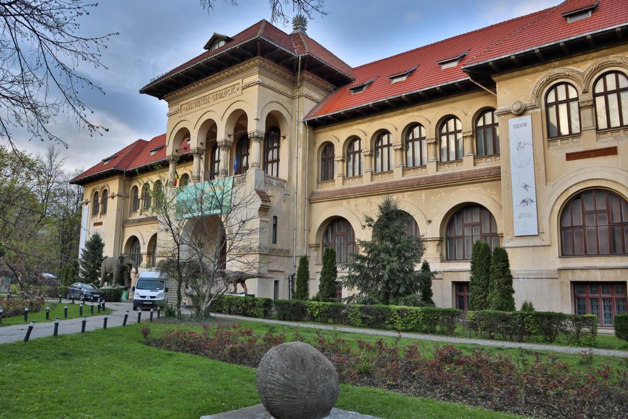 Apartment Oak - Piata Victoriei