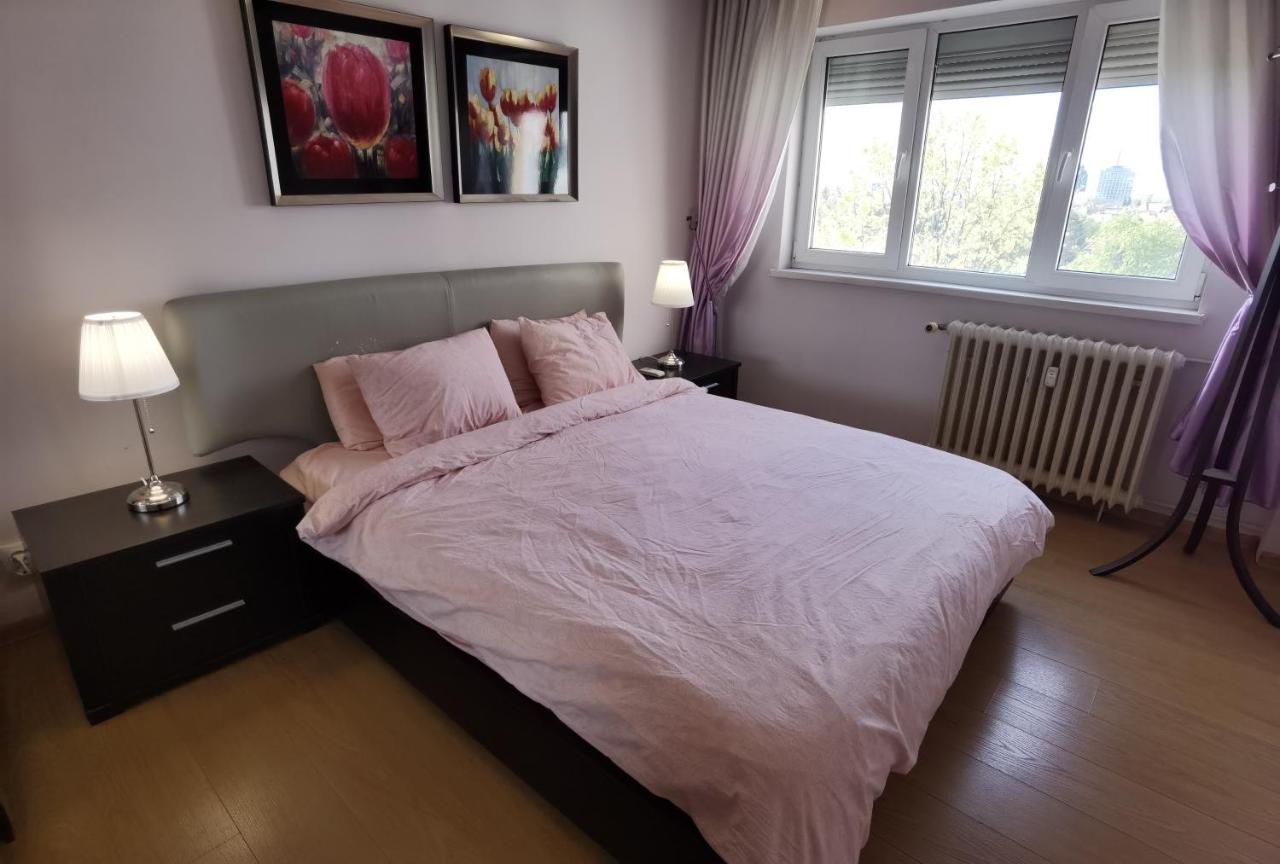 Dorobanti Apartament *