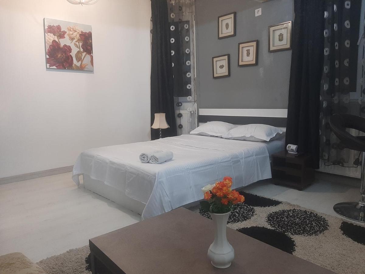 Studio Calea Victoriei Apartament *