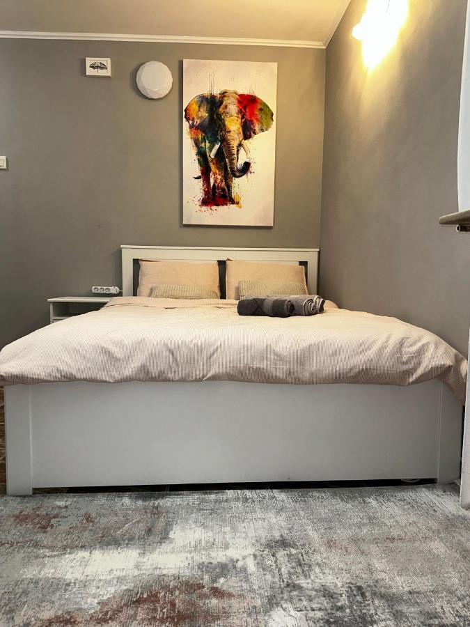Apartment One Decebal