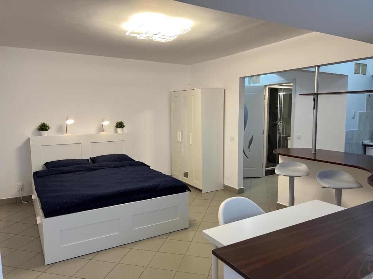 Apartment Cochet Bucharest