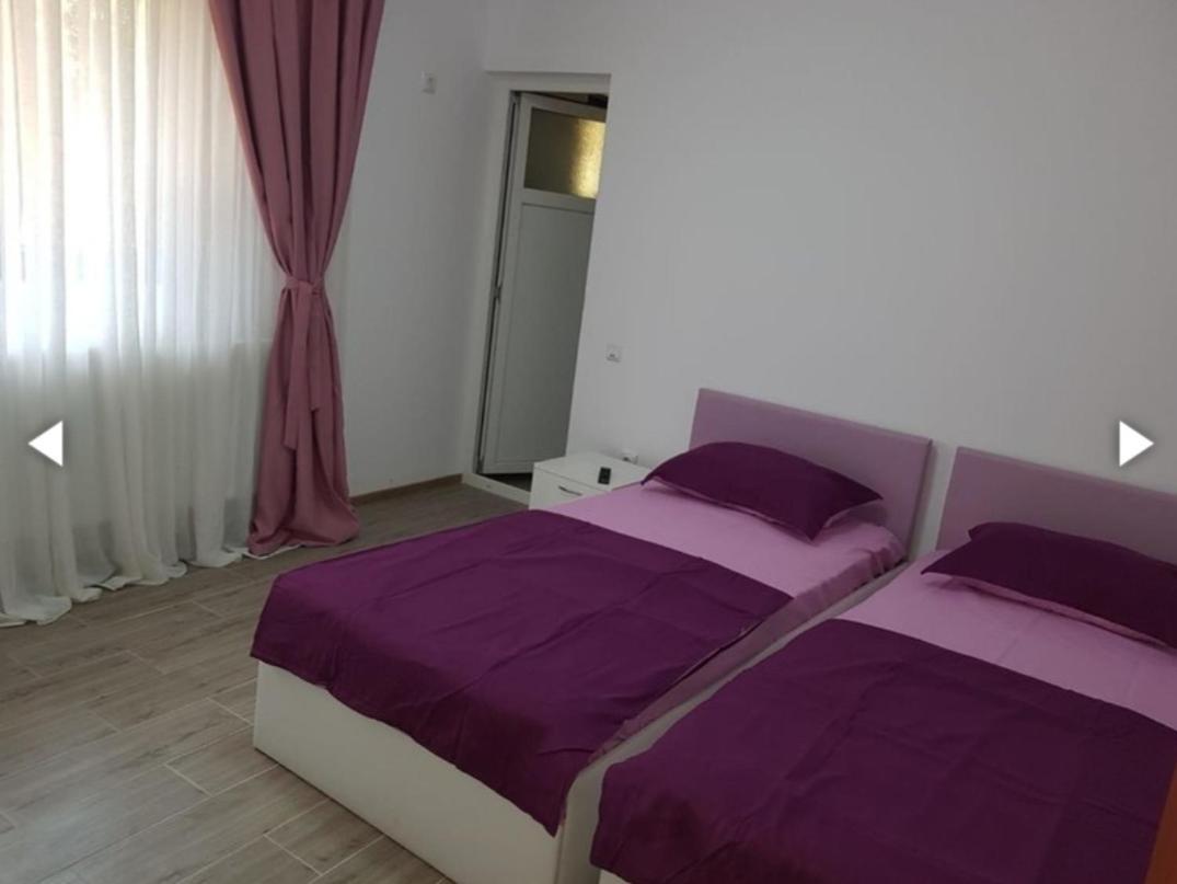 Casa Iulia Guest house *