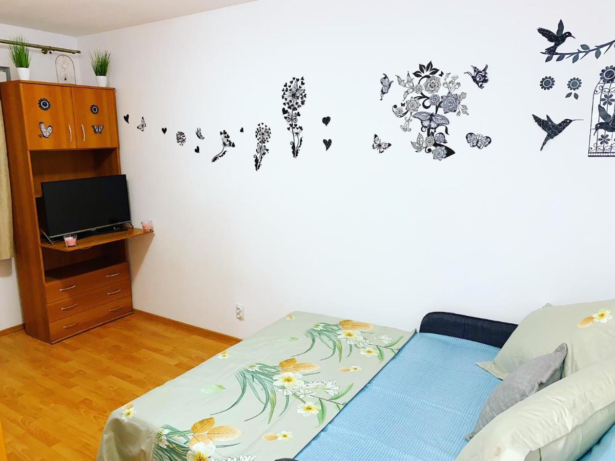 Casa Andu Centru Apartament *