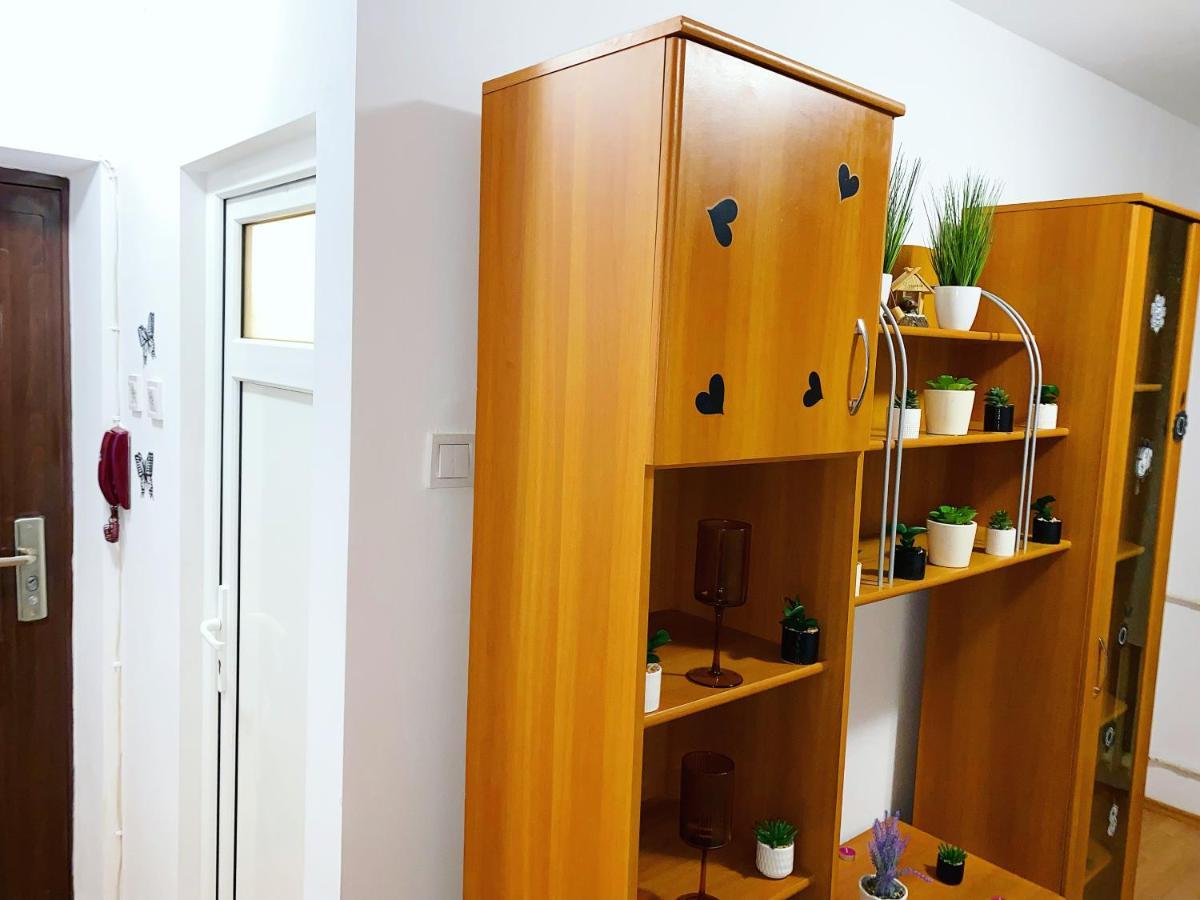 Apartament Casa Andu Centru Bucureşti