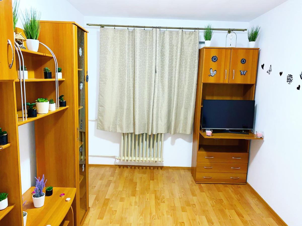 Casa Andu Centru Apartament