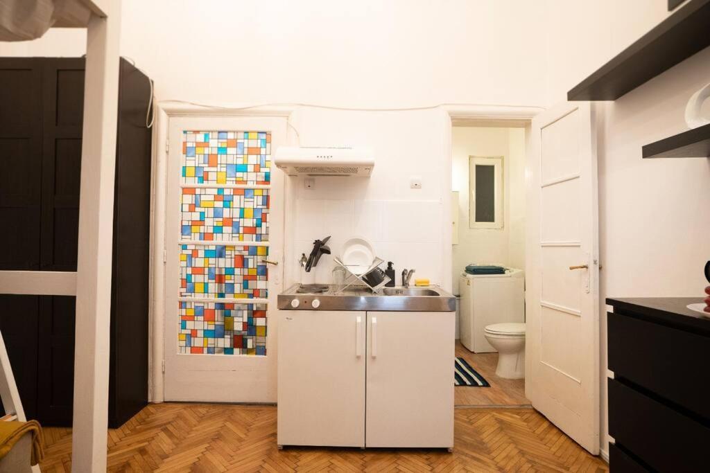 Cozy Studio Near Cismigiu Park Apartment