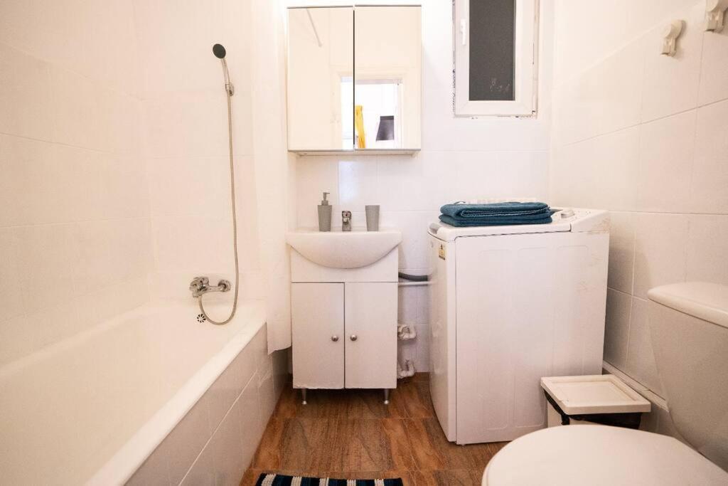 Cozy Studio Near Cismigiu Park Bucharest