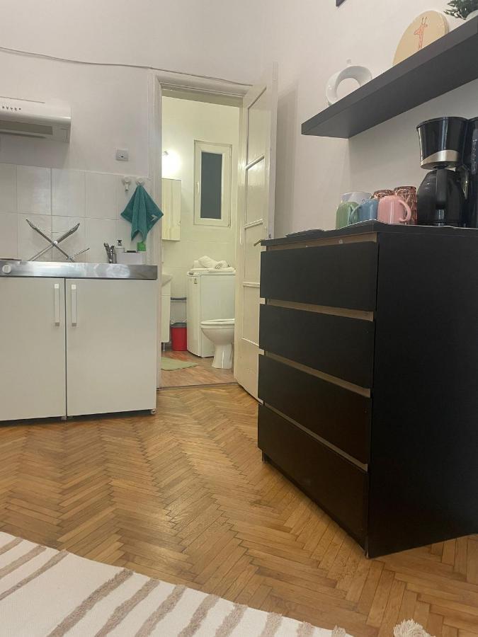 Cozy Studio Near Cismigiu Park Apartment *
