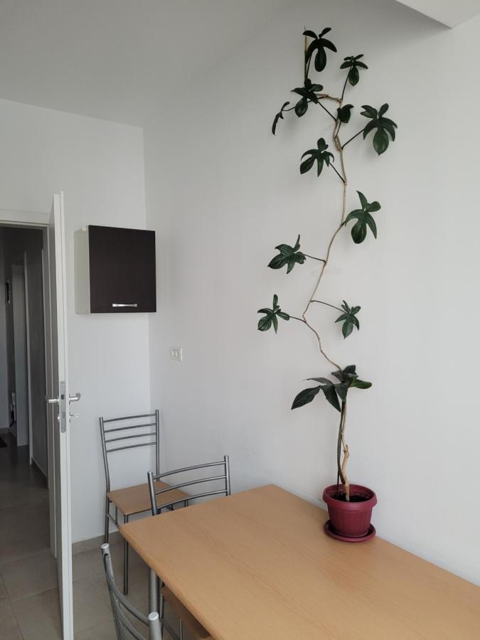 Ema's Spacious Studio Apartament *