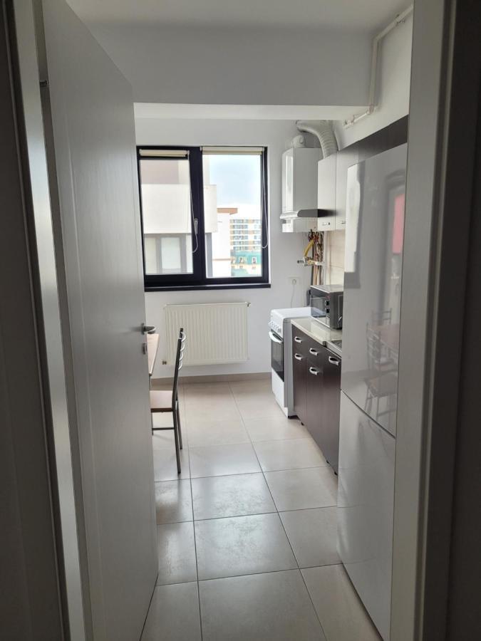 Ema's Spacious Studio * Bucharest