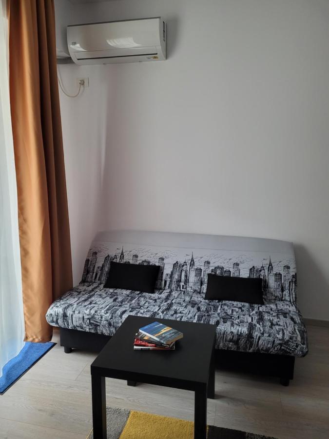 Apartament Ema's Spacious Studio Bucureşti