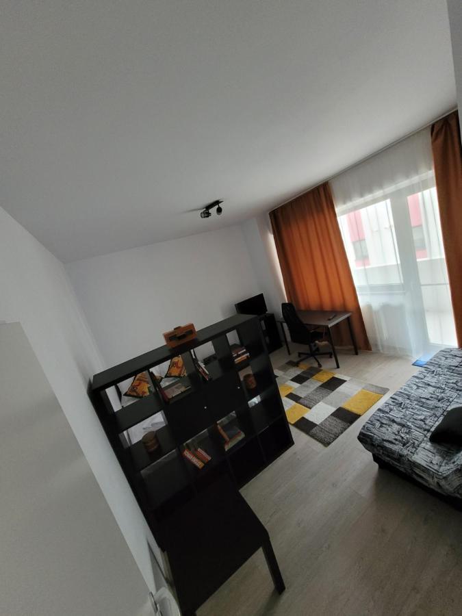 Ema's Spacious Studio Bucureşti