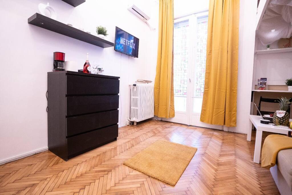 Cozy Studio Near Cismigiu Park Apartment *