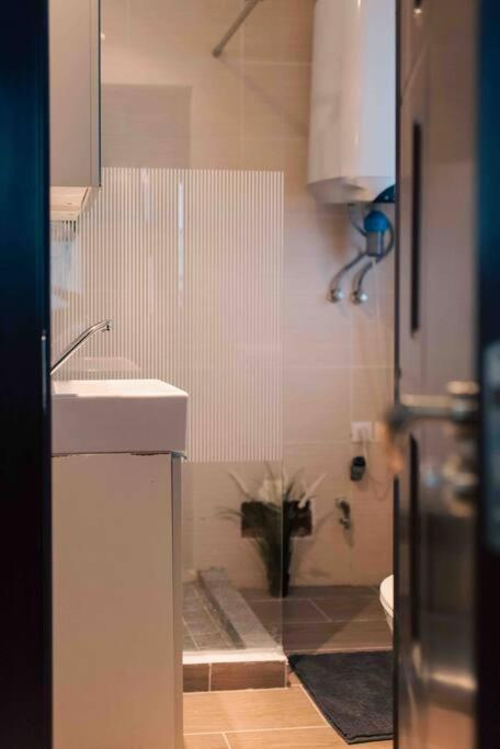 Cozy Studio In The Heart Of Apartment Bucharest