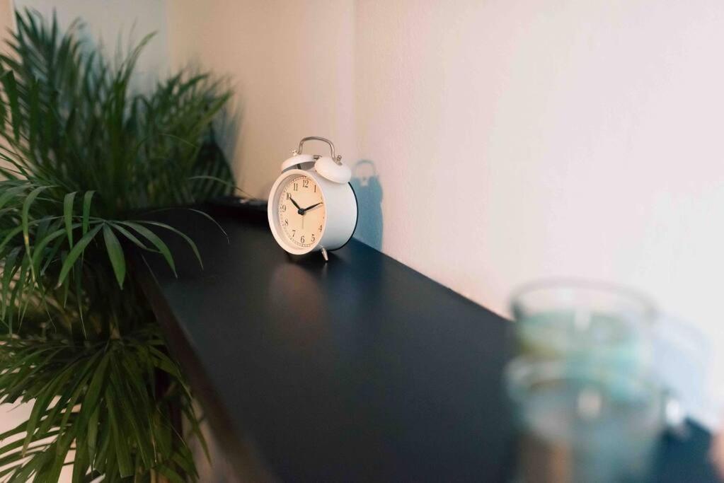 Cozy Studio In The Heart Of