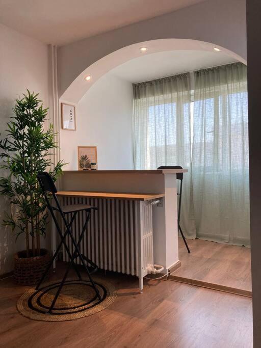 Apartment Zen In The Heart Of