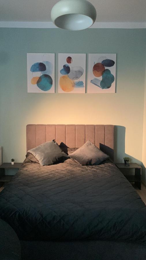 Cozy Studio In The Heart Of Apartment Bucharest