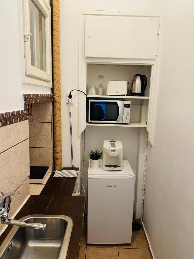 Apartment Cismigiu Park View