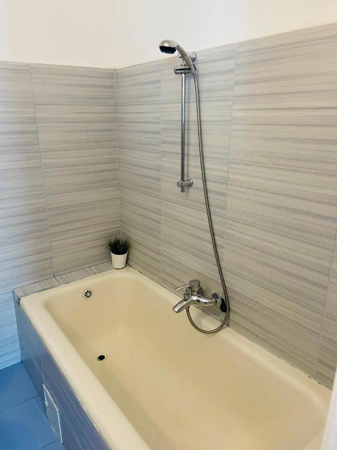 Apartment Cismigiu Park View *