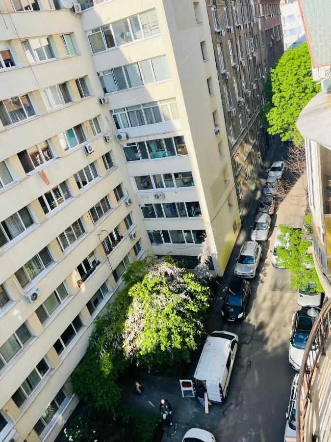 Apartment Cismigiu Park View