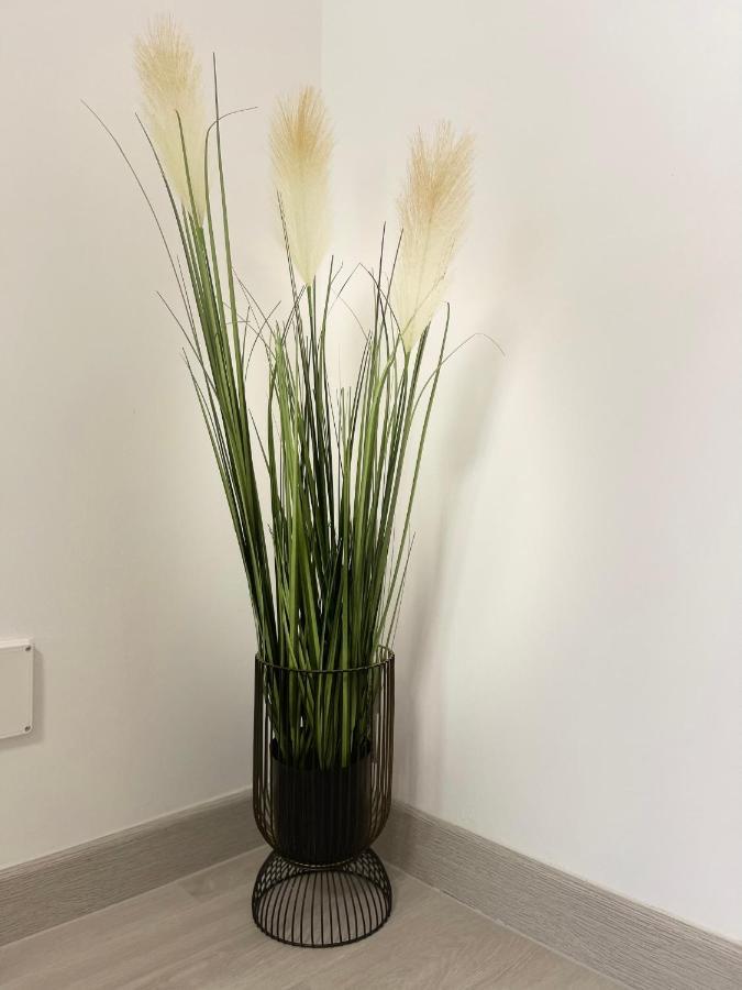 Apartment Triumf