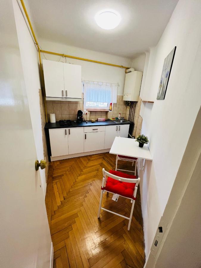 Unirii Downtown Apartament