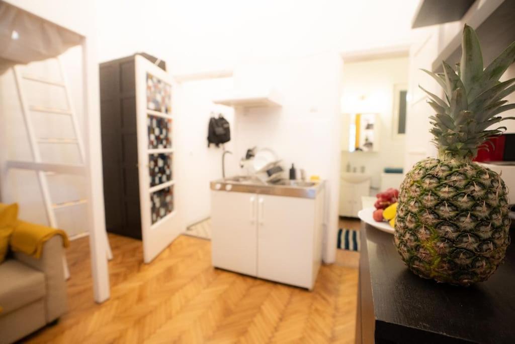 Cozy Studio Near Cismigiu Park