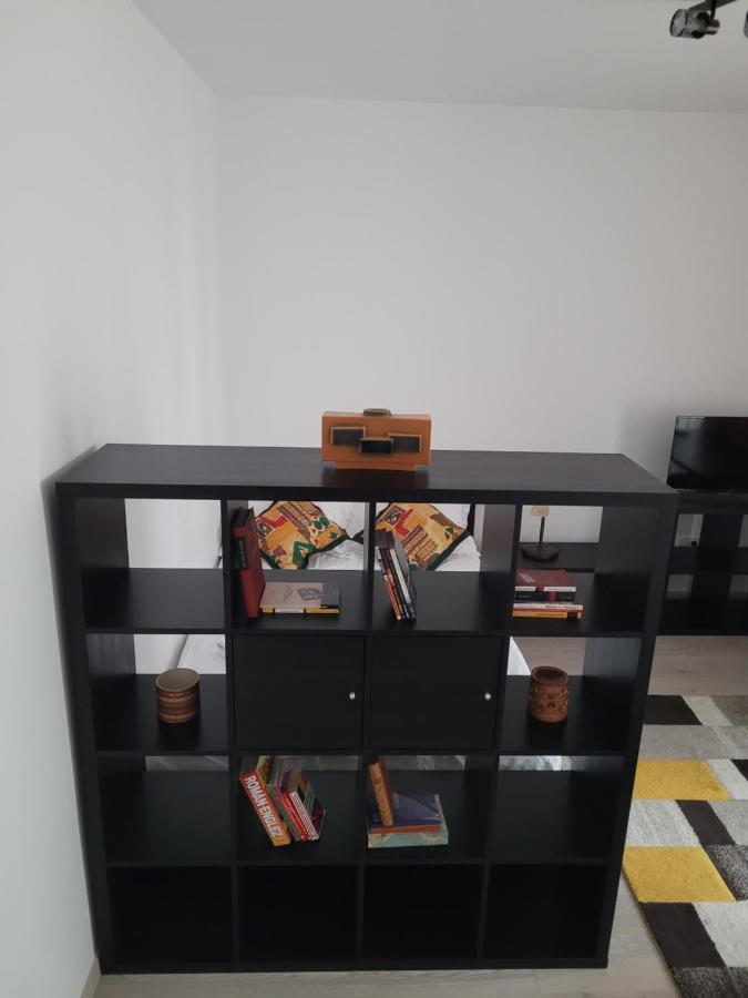 Ema's Spacious Studio Apartament