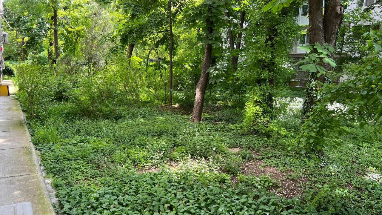 Apartament Afi Cotroceni Bucharest